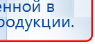 СКЭНАР-1-НТ (исполнение 01 VO) Скэнар Мастер купить в Химках, Аппараты Скэнар купить в Химках, Скэнар официальный сайт - denasvertebra.ru